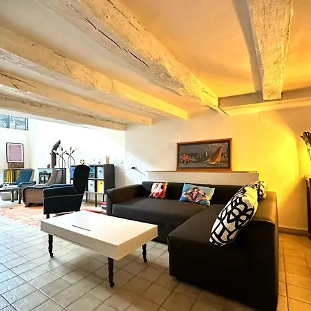 Le Pop'artloft Atypique En Centre-ville Avec Jardin Apartament